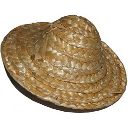 CHAPEAU BAKOUA PAILLE 10CM