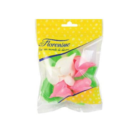 6 PTES ROSES 40 MM ROSE/BLANC