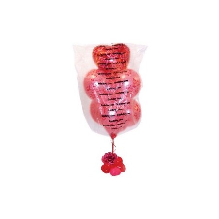 SAC POUR BOUQUET DE BALLON