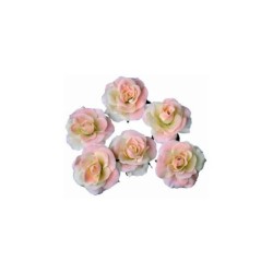 18 ROSES 6CM BLANCHES...