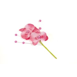 3 ORCHIDEES FUCHSIA + 3...