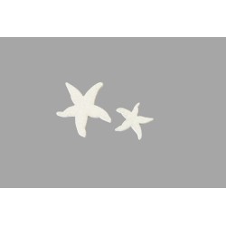12 ETOILES DE MER EN BOIS