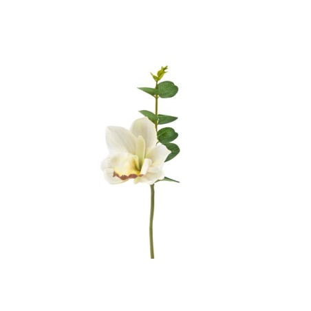 ORCHIDEE BLANCHE + EUCALYPTUS 32CM