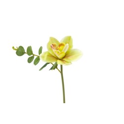 ORCHIDÉE VERT EUCALYPTUS 32CM