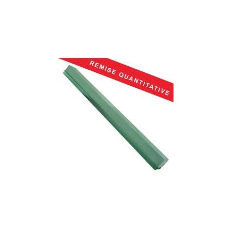 RAQUETTE 1M BIOFLOR BASE PLAST VERT