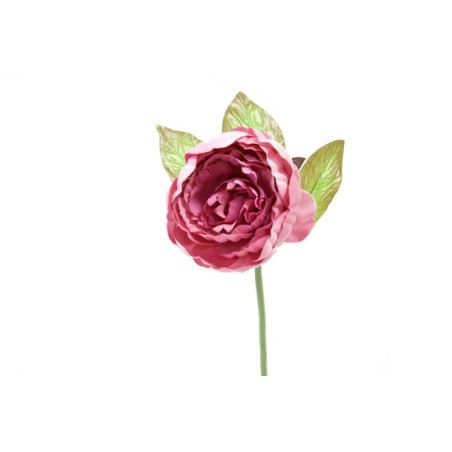 PIVOINE ROSE 27CM