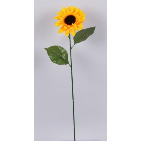 TOURNESOL