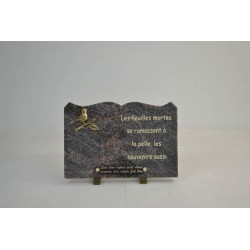 PLAQUE LIVRE GRAVE 20X30CM