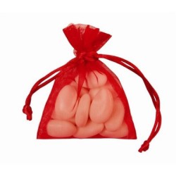 10 SAC ORGANZA ROUGE 10X7,5CM