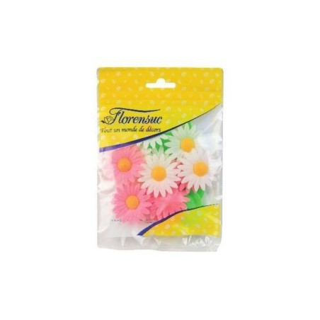 12 MARGUERITES 45MM 6 ROSES