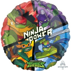 ALU RISE OF THE TMNT S60...
