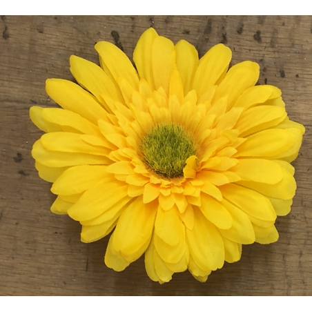 GERBERA 11CM COUL.ASS