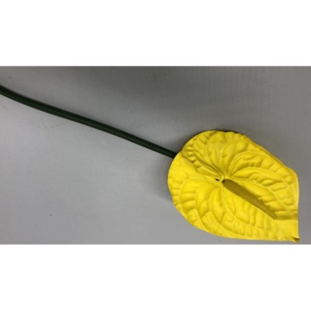 ANTHURIUM 65CM 3COUL