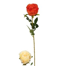 BOUTON ROSE 9 FEUIL 63CM...