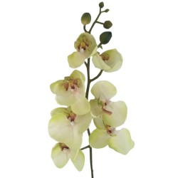 ORCHIDEE X9 SOFT TOUCH VERT...