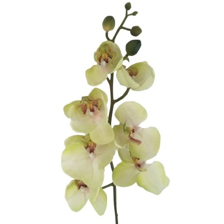 ORCHIDEE X9 SOFT TOUCH VERT 96CM