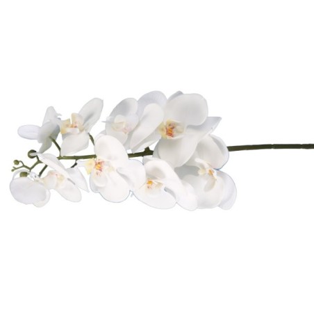 ORCHIDEE X9 SOFT TOUCH BLANC 96CM