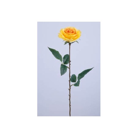 ROSE JAUNE ANCIENNE PP 2FE. 68CM