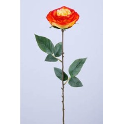 ROSE ORANGE ANCIENNE PP...