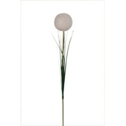 POMPON BLANC HERBE 63CM