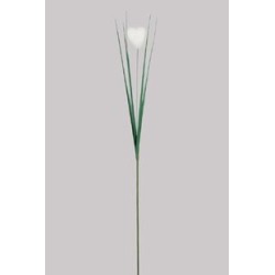 HERBE+COEUR BLANC 68CM