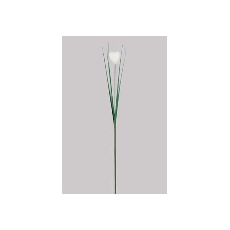 HERBE+COEUR BLANC 68CM