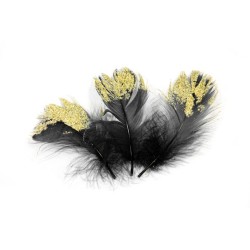 25 PLUMES NOIR/OR PAILLETE...