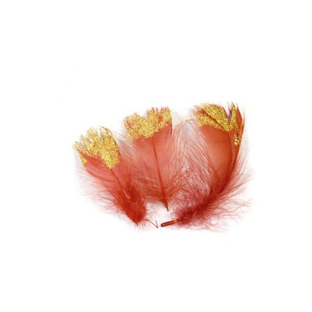 25 PLUMES ROUGE/OR PAILLETE DECO