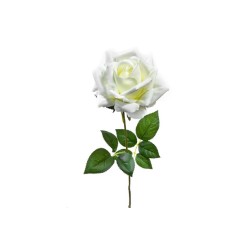 ROSE BLANC OUVERTE 75CM